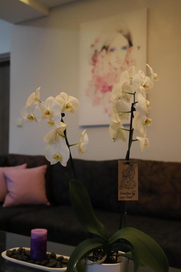 Deluxe Apartments Andreas Limenaria  Zewnętrze zdjęcie